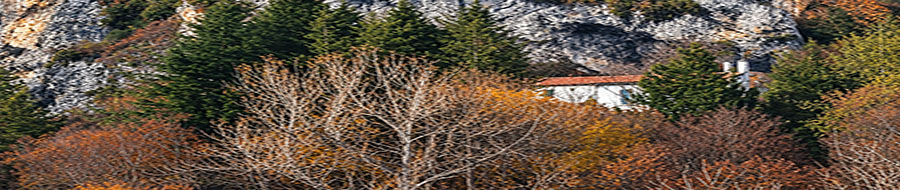 Разбоишки манастир „Въведение Богородично“