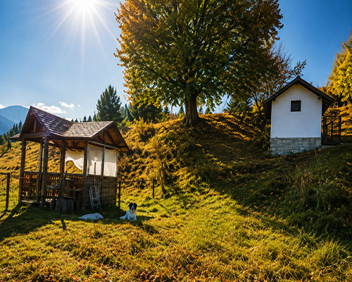 Параклис
